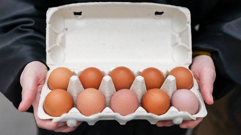 Rusya'da Yumurta Fiyatları Dört Kat Düştü: İşte Nedeni