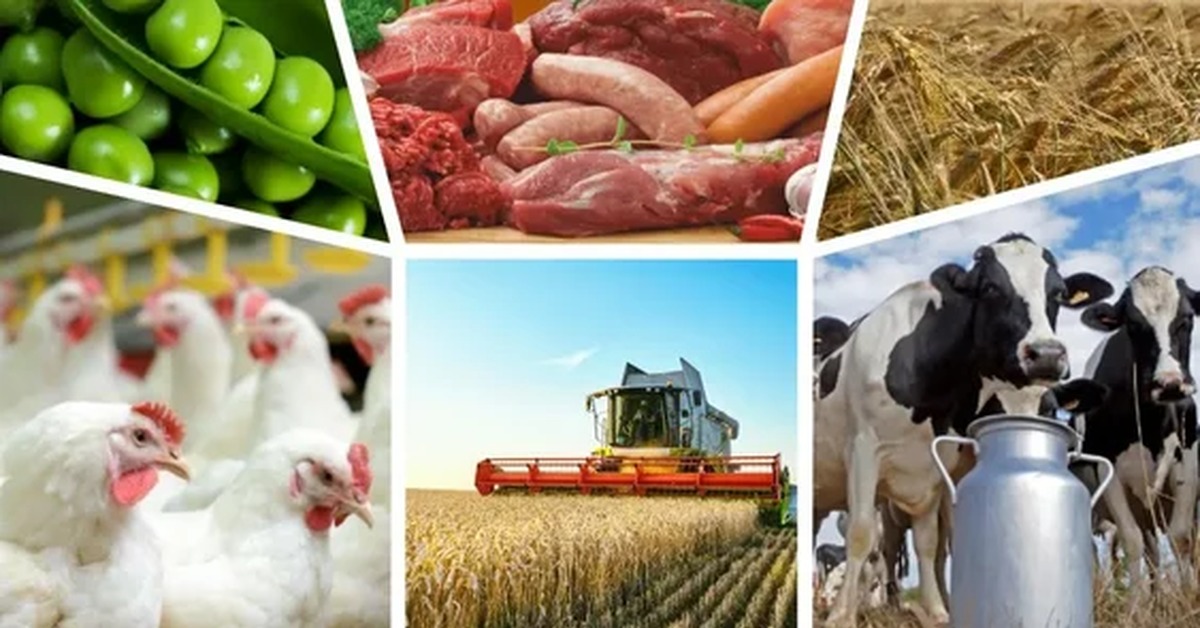 Rusya'dan Çin'e Tarımsal İhracat Rekoru: Aylık Bazda 1 Milyar Doları Aştı