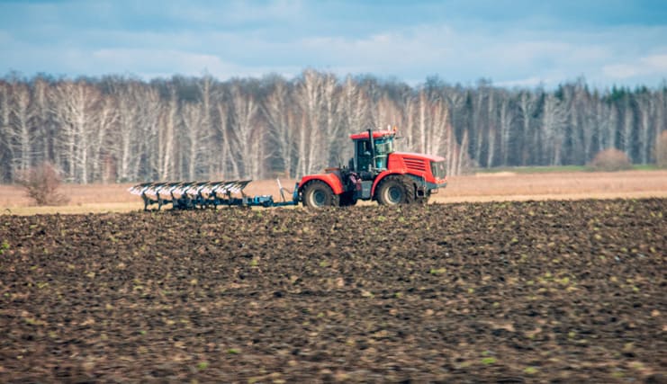 Rusya'nın Gıda İhracatında Keskin Düşüş