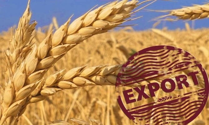 Rusya’nın tahıl ihracatı Ağustos'ta rekor kırdı