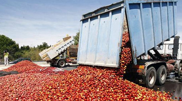 Rusya sahte “Türkiye” sertifikalı 73 ton şeftali ve nektarini imha etti