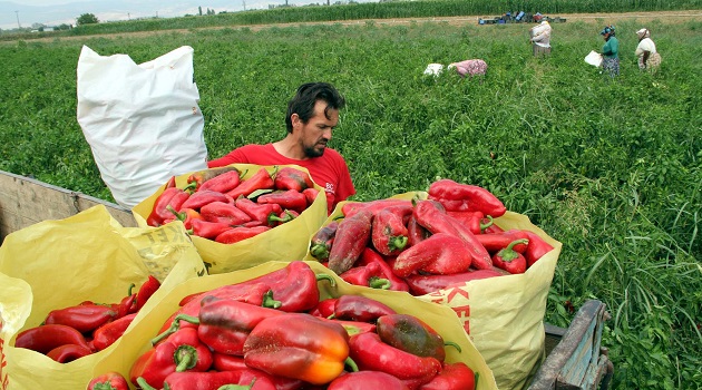 Türk çiftçilere Rusya darbesi