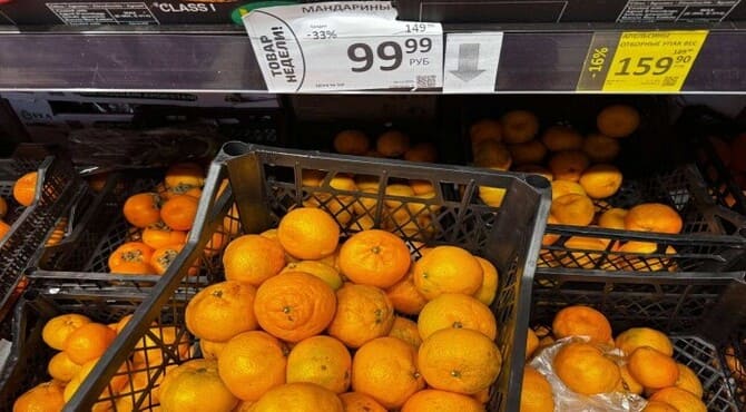 Türkiye, Rusya'ya Mandalina Tedariğinde Açık Ara Lider