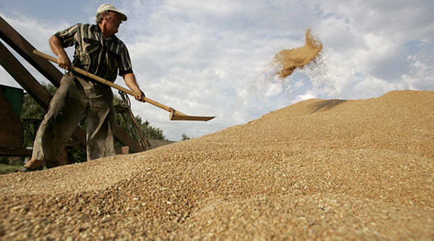 Rusya'nın Türkiye'ye buğday satmayacağı endişesi
