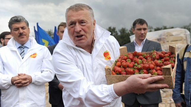 Jirinovski, Grudinin ile girdiği iddiadan 100 kg. çilek kazandı