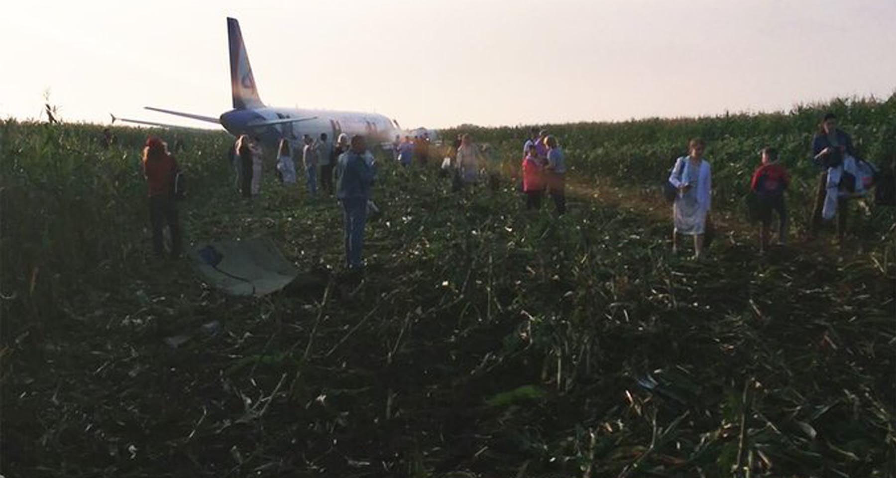 Rusya'da yolcu uçağı mısır tarlasına acil iniş yaptı