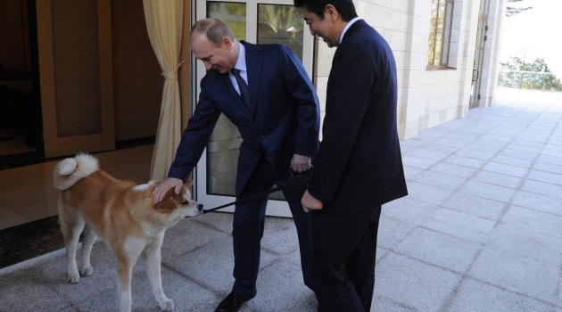 Putin’den Japon başbakanına “rüya köpek” sürprizi