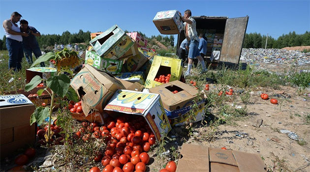 Rusya, 11 ton Türk domatesini buldozerle ezerek imha etti