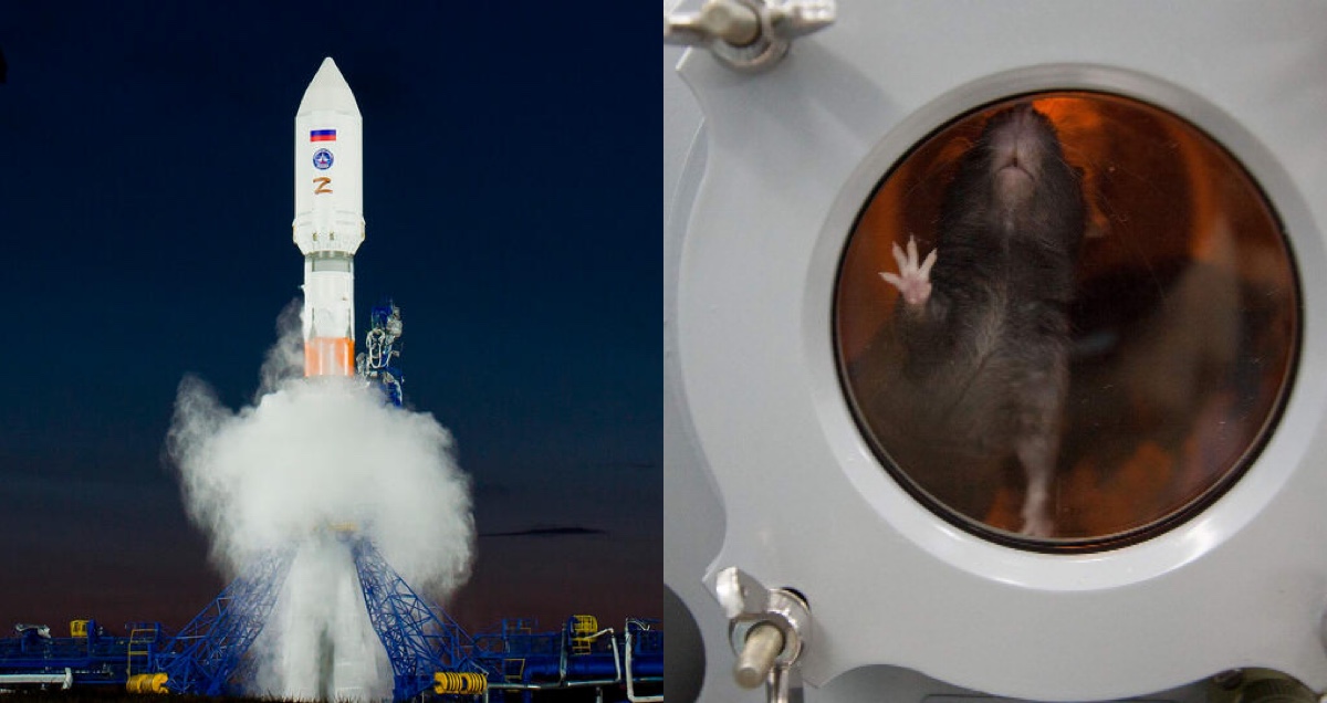 Rusya, Ay ve Mars Misyonları İçin Tarihi Biyon Uydusunu Uzaya Gönderdi