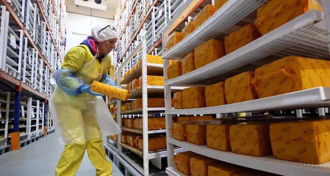 Rusya Kaşar İhracatında Rekor Kırdı