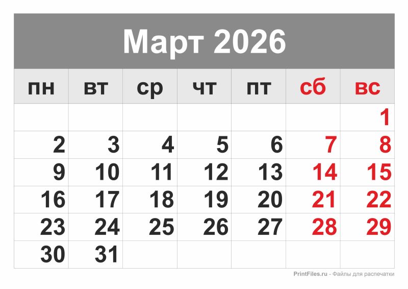 Rusya'da 1 Mart'ta Hayatı Etkileyecek Yeni Kurallar