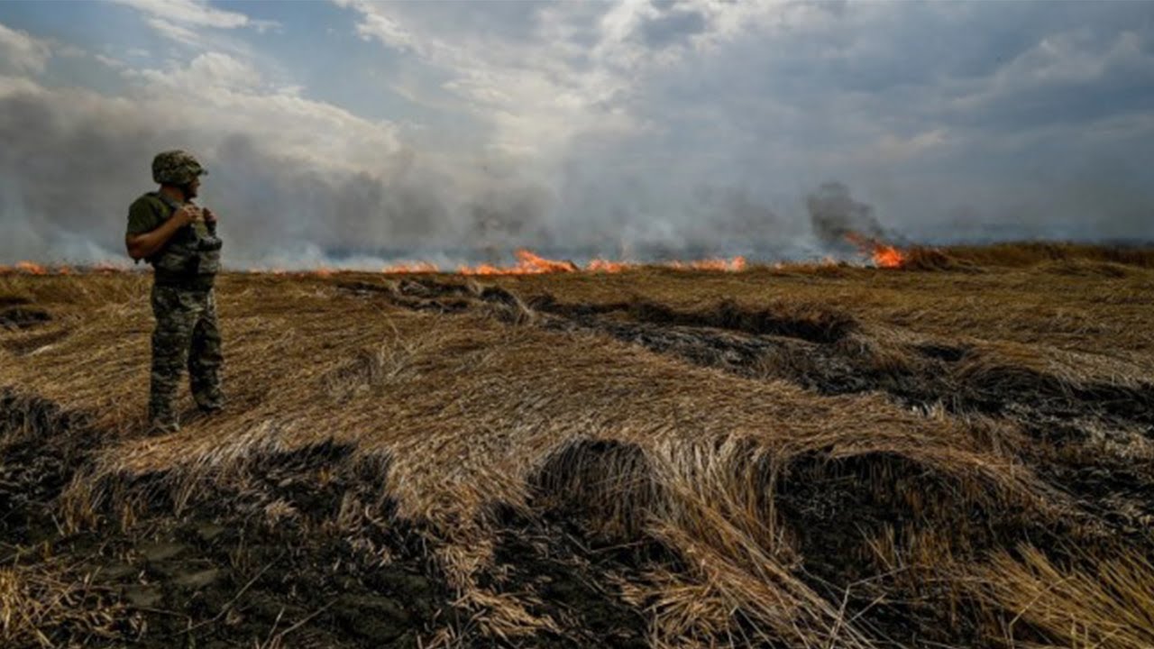 Ukrayna Ordusu Rus Taarruz Korkusuyla Ormanları Yakıyor