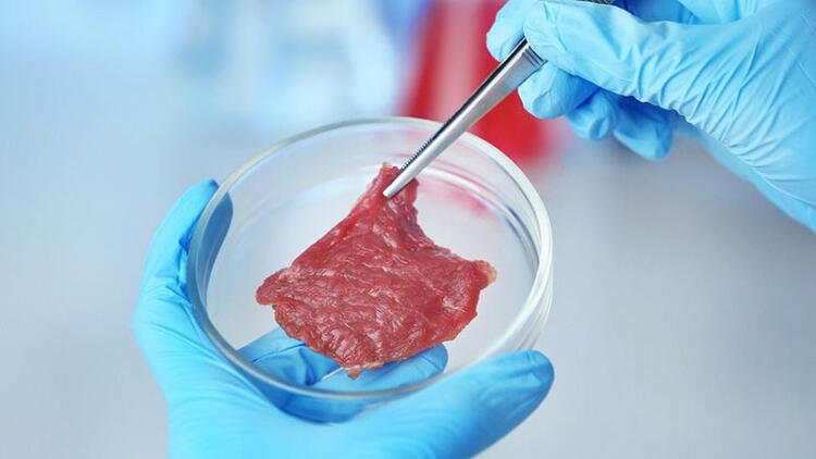 Rusya Laboratuvarda yapay et üretti, 2023’te restoranlarda