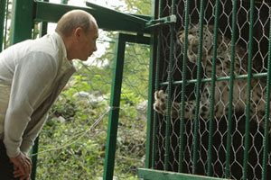 Putin, Leopar’ı uzaktan sevdi