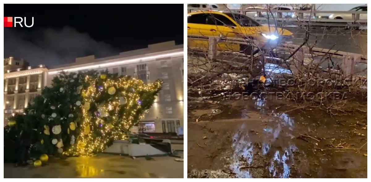 Moskova'da Şiddetli Rüzgar: Ağaçlar Devrildi, Yaralılar Var