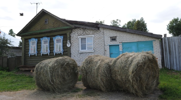 Rus aşık sevgilisi ile barışmak için 1,5 ton saman çaldı