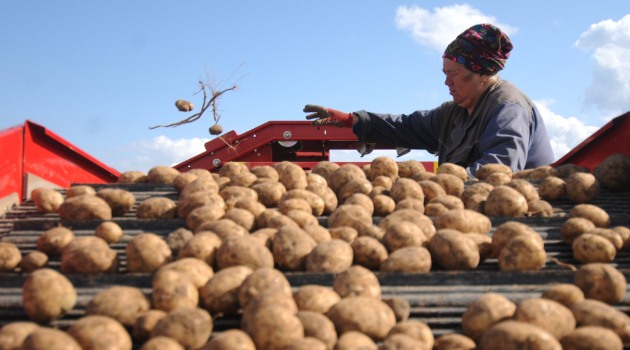 Rusya’da patates gazı bir aileyi yok etti