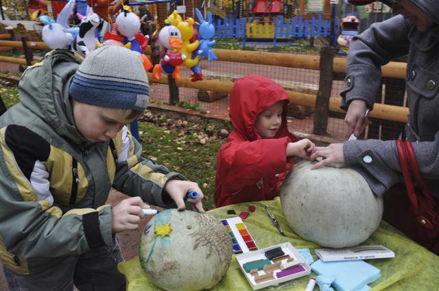 Balkabağı Festivali