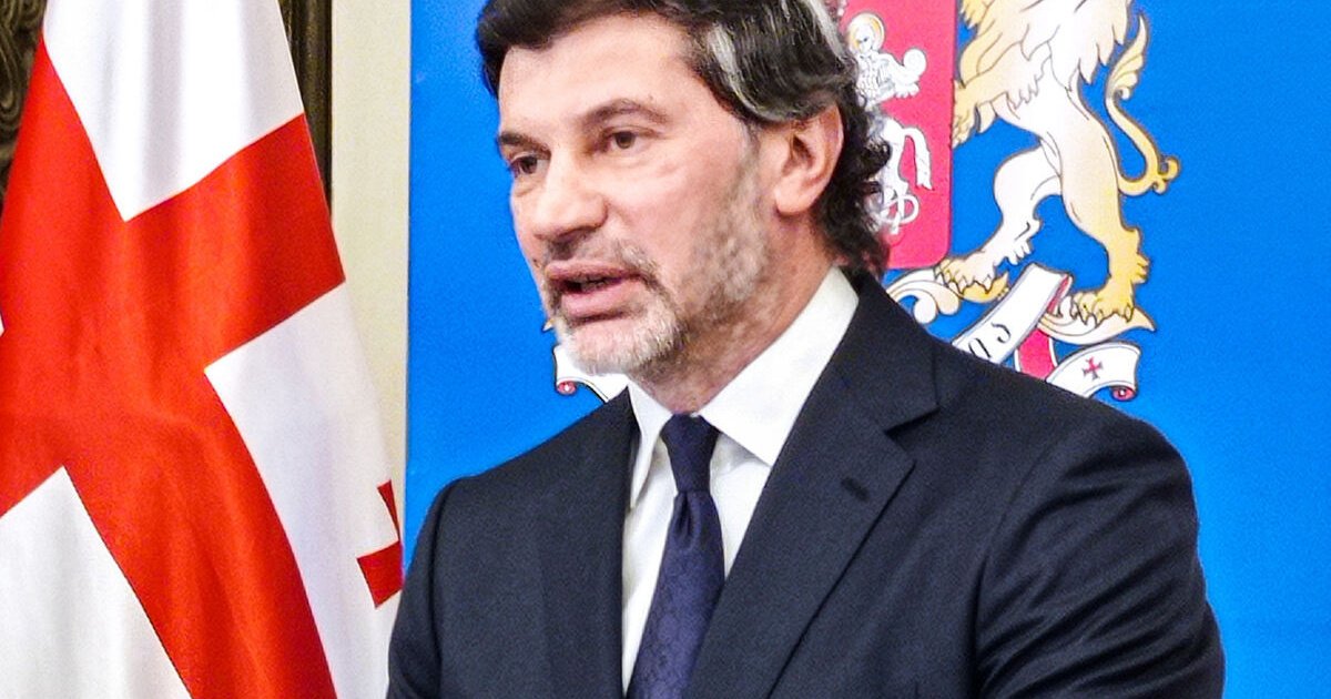 ''Batı, Gürcistan'ı Rusya'ya Karşı İkinci Cephe Açmaya Zorluyor''