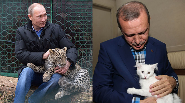 Der Spiegel: Erdoğan ve Putin, Maço Maçoyu yendi