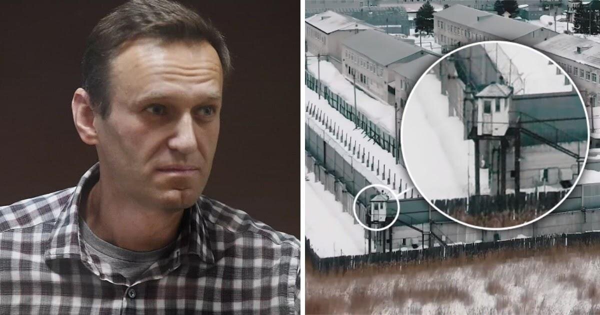 Лондон навальный. Навальный в колонии 2021. Навальный в тюрьме 2021.