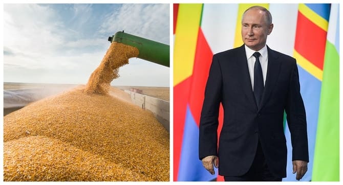 Rusya, Afrika ülkelerine bedava 25-50 bin ton tahıl verecek