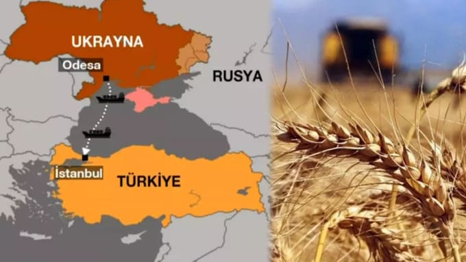 Rusya, Türkiye ve BM, İstanbul'da yeni tahıl koridorunu görüşecek