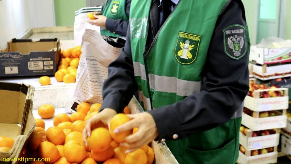 Rusya, Türkiye’den tonlarca narenciye ve domatesi ülkeye sokmadı