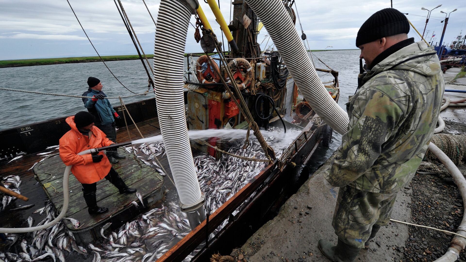Rusya ve Norveç balıkçılık alanındaki iş birliğini yeniden başlattı