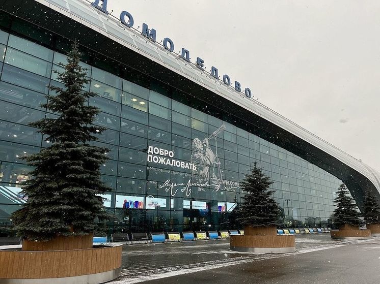 Rusya’da Domodedovo Havalimanı’nın Devletleştirilmesi Tartışması