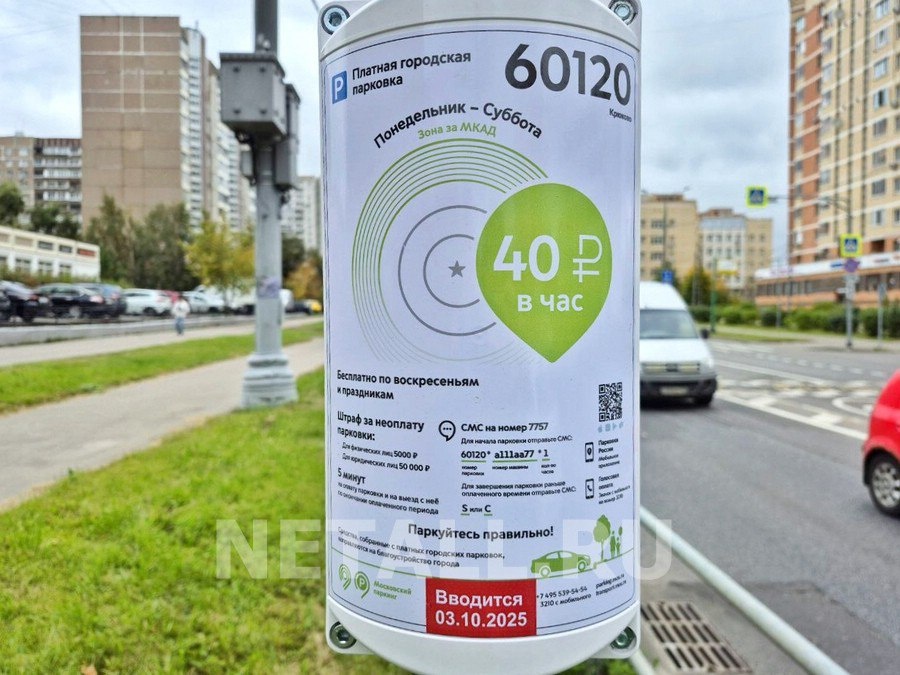 Rusya'da Eczane Önünde Ücretsiz Park Önerisi