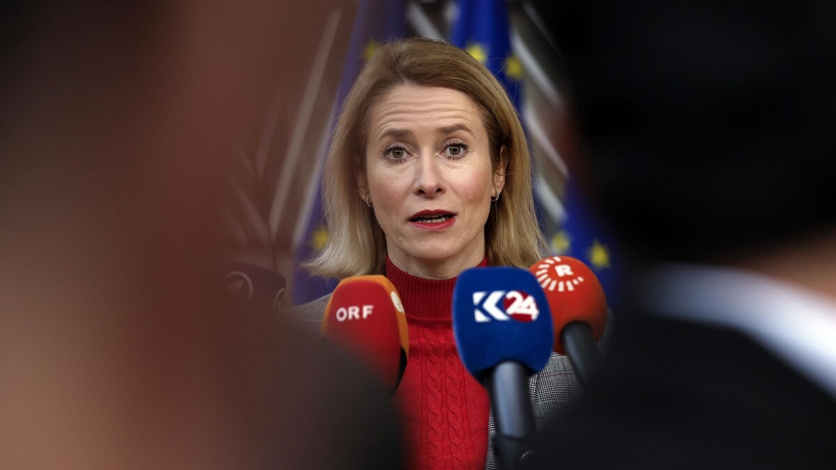 "Ukrayna'ya Destek Vermezsek Rusça Öğrenmek Zorunda Kalacağız"