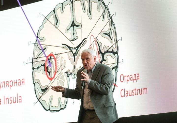 Bilim Tarihinde Bir İlk: Dondurulmuş Beyin Dokusu 'Canlandırıldı'