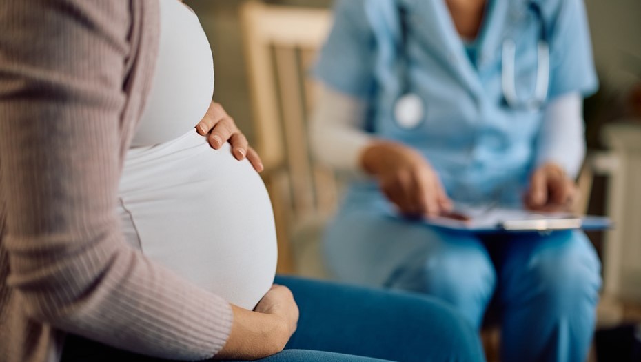 Rusya'da 'Federal Gebe Kayıt Sistemi' Uygulamaya Başlanıyor