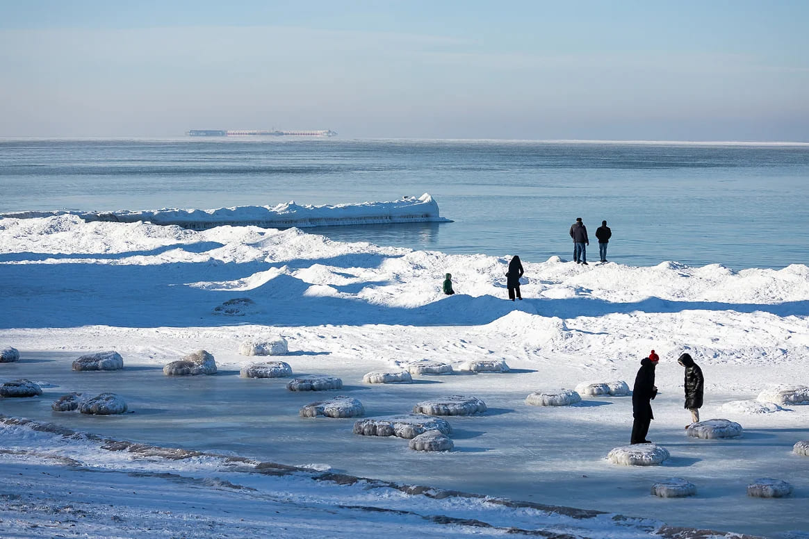 resim tanımı girin