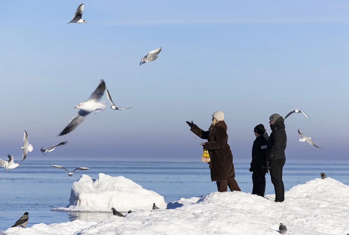 resim tanımı girin