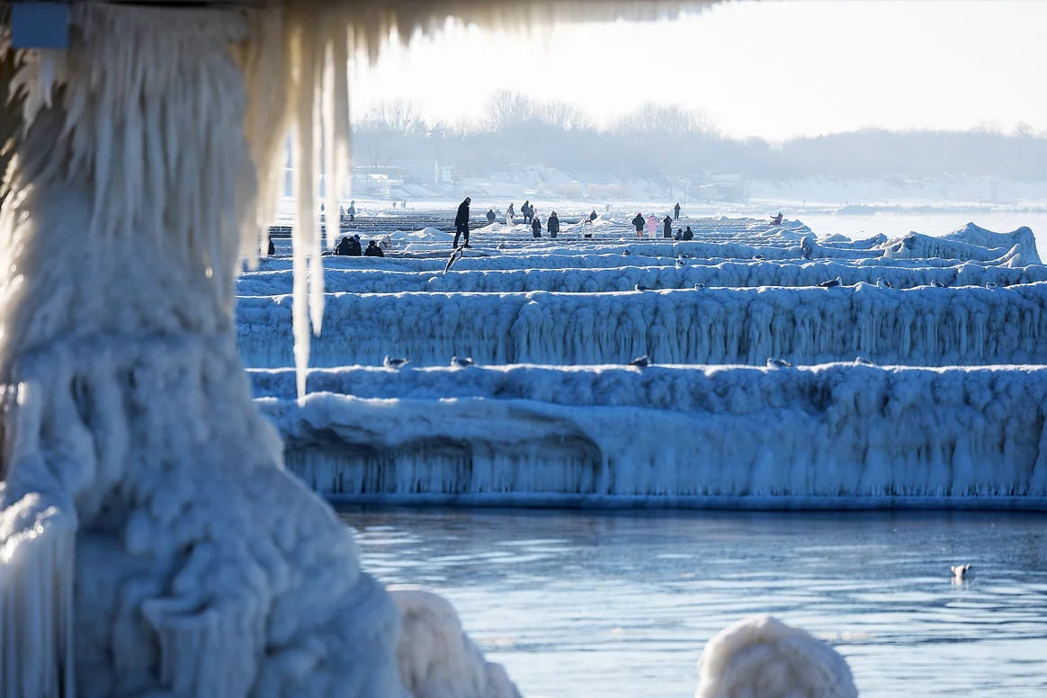 resim tanımı girin