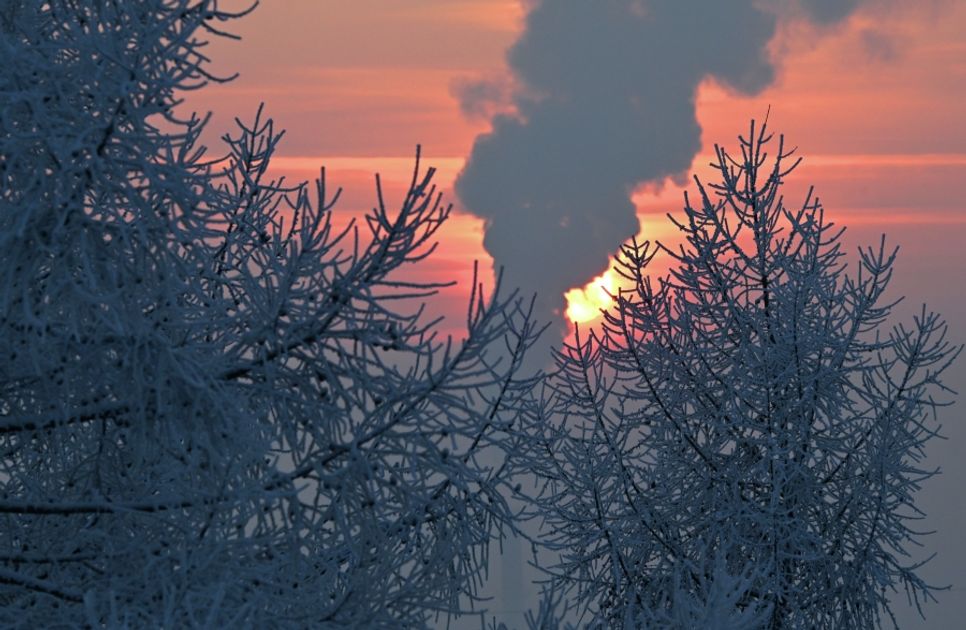resim tanımı girin