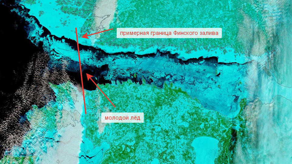 resim tanımı girin