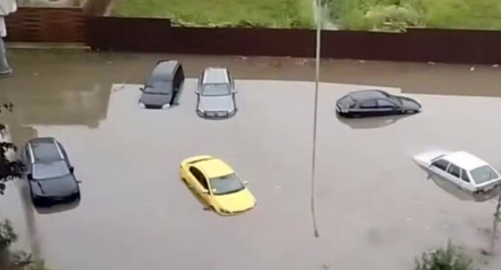 resim tanımı girin