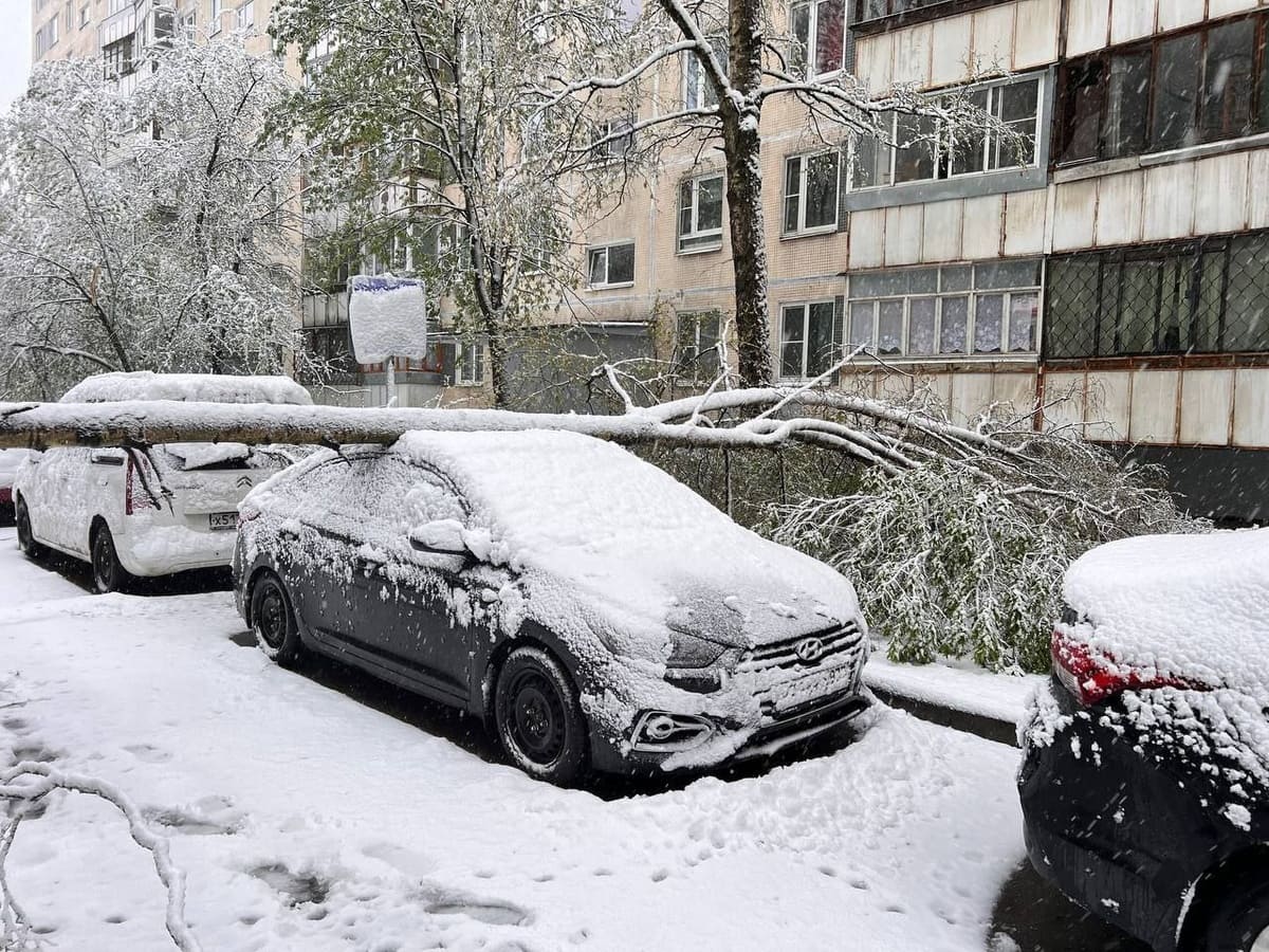 resim tanımı girin