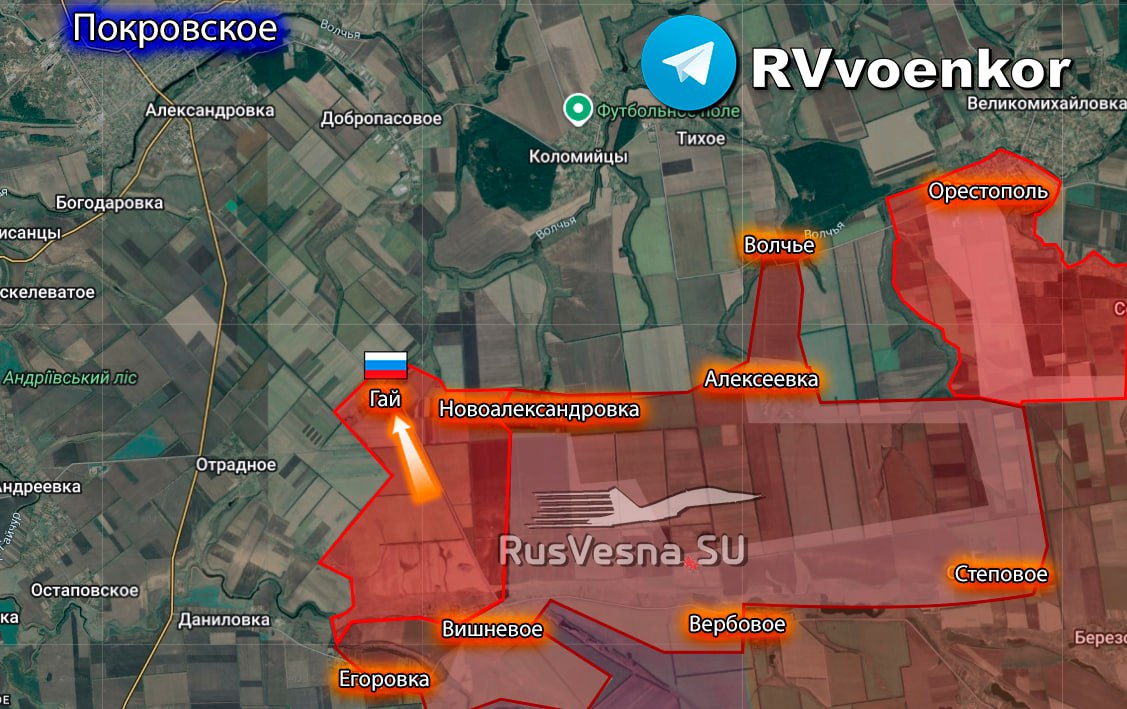 resim tanımı girin