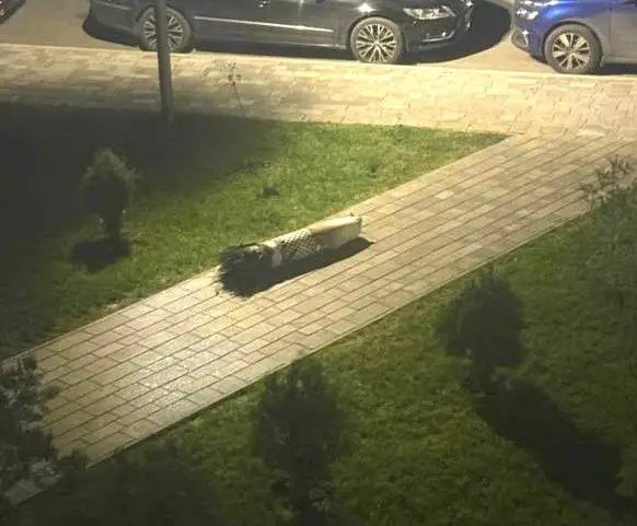 resim tanımı girin