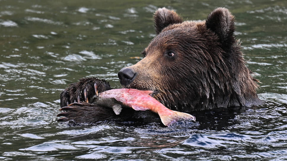resim tanımı girin