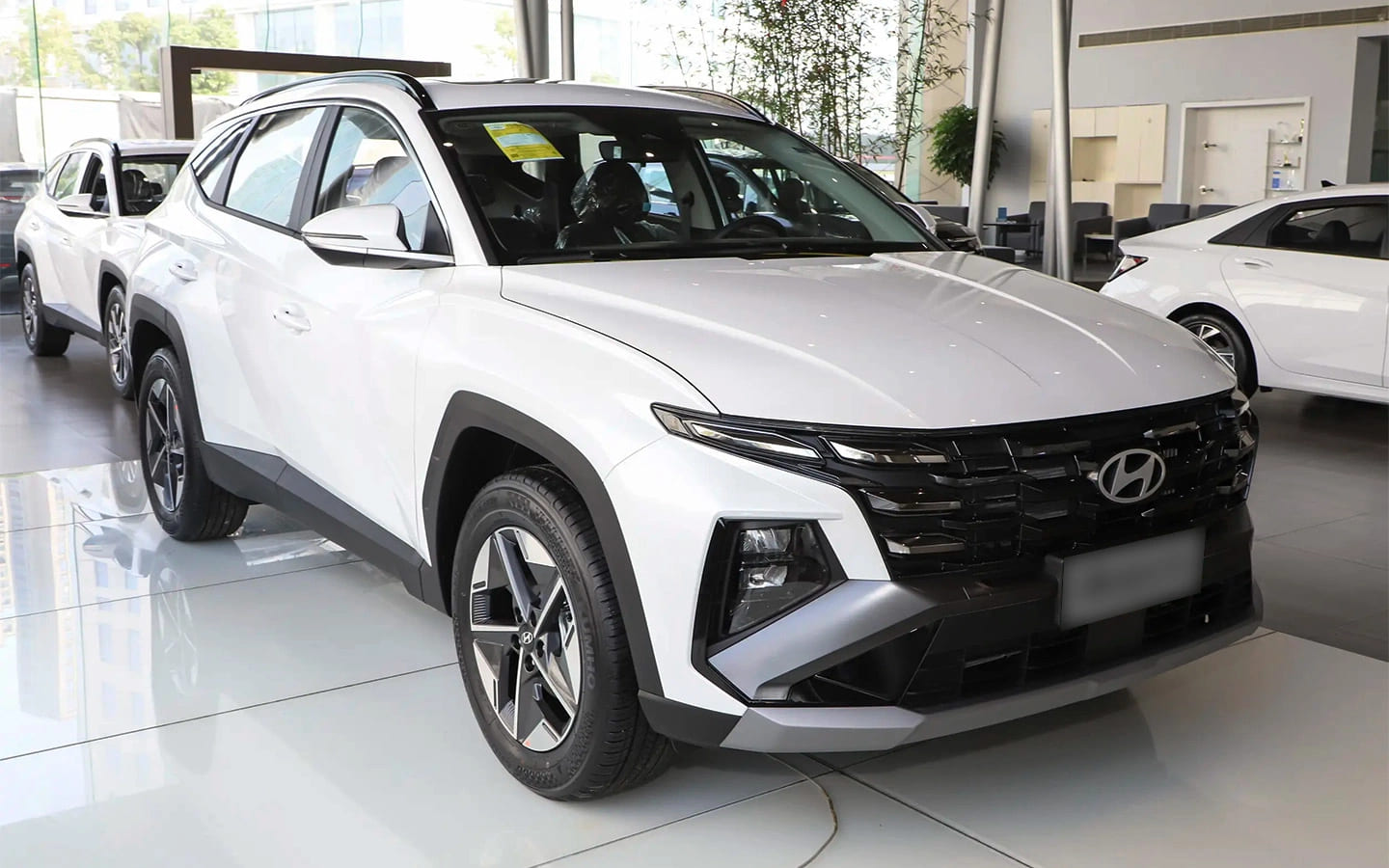 resim tanımı girin