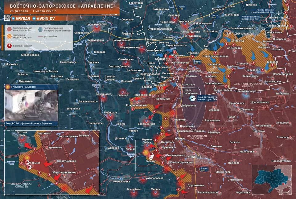 resim tanımı girin